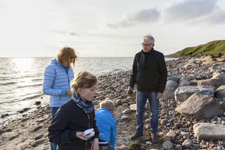 En grupp människor står på toppen av en klippig strand